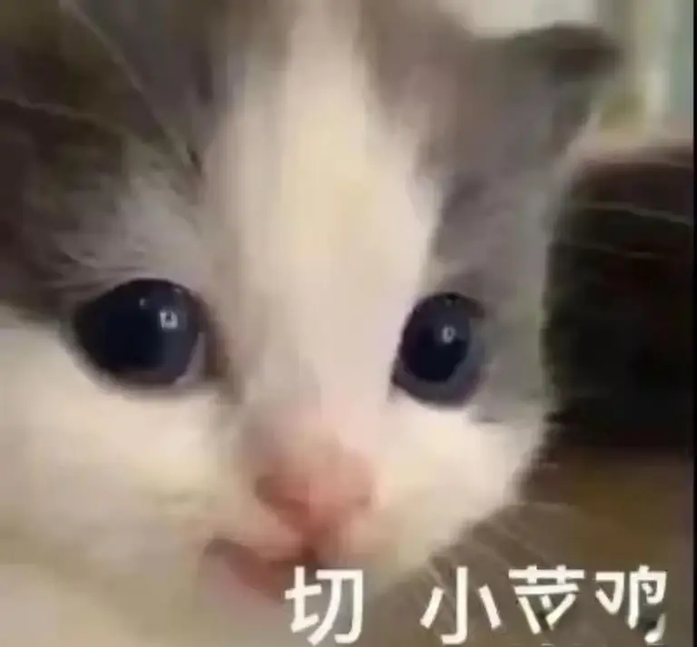 成都Blast赛事爆冷门，Yuno酱预测失准，DOTA2电竞魅力何在