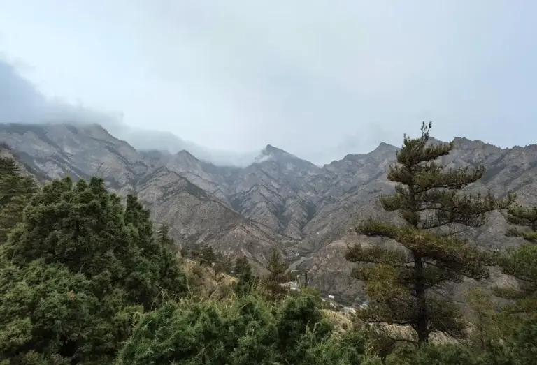 极危物种！23年再现宁夏贺兰山，6年在野外只见过5次，像鼠又像兔
