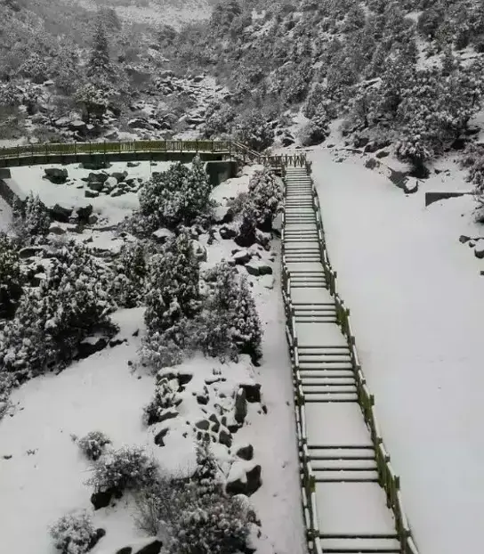 极危物种！23年再现宁夏贺兰山，6年在野外只见过5次，像鼠又像兔