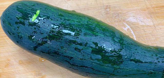 冬天包饺子，韭菜、白菜靠边站！这3种菜馅，鲜香营养，好吃不腻