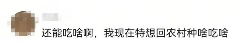 大量“激素鸡蛋”流入市场，长期吃致癌？网友：我买的就是！真相如何？央视调查
