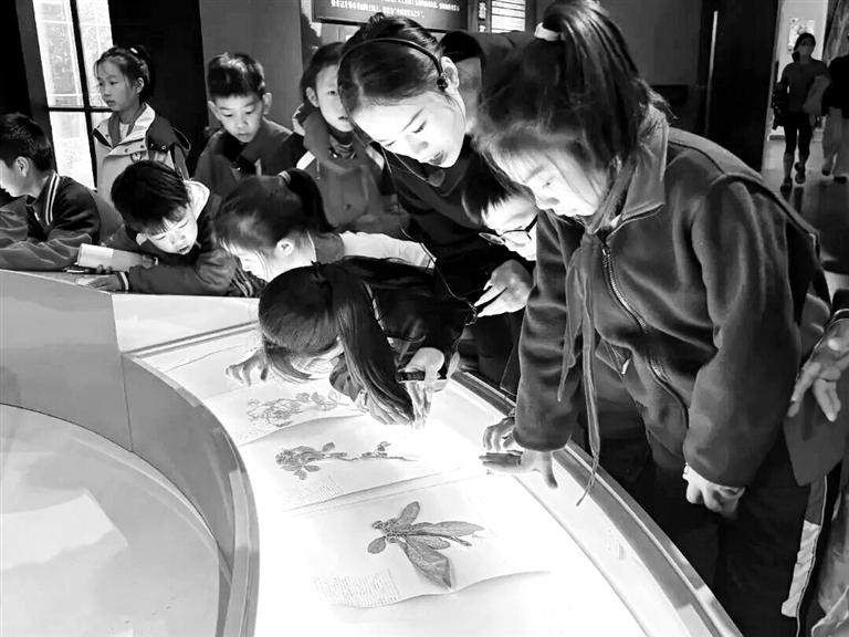 零距离感受家乡历史文化魅力