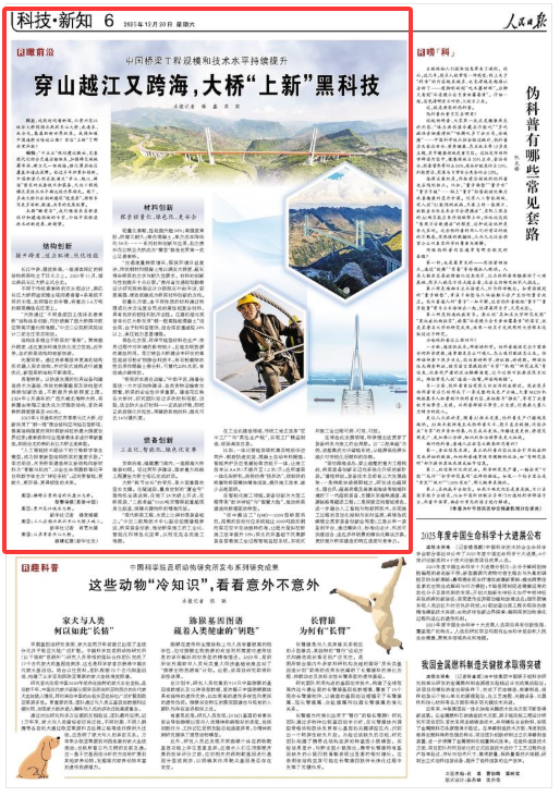穿山越江又跨海，大桥“上新”黑科技（瞰前沿）