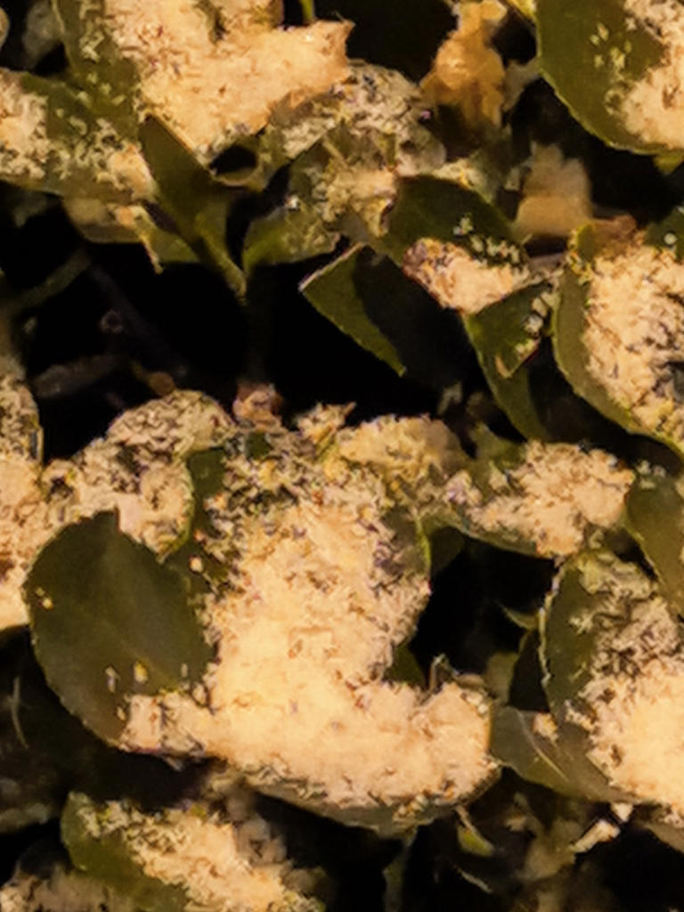 北京下雪了，环卫工人已早早上岗