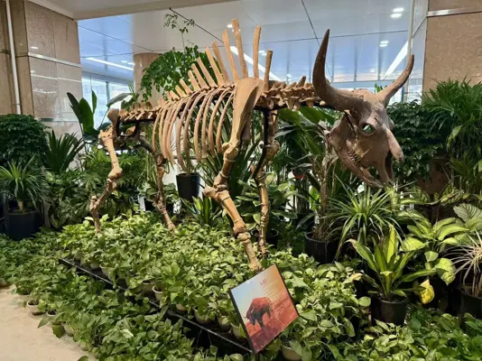 吉大哲学社会科学领域首篇《Science》论文发表&mdash;&mdash;揭示东亚地区家牛的复杂演化史与史前东西方文化交流