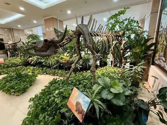 吉大哲学社会科学领域首篇《Science》论文发表&mdash;&mdash;揭示东亚地区家牛的复杂演化史与史前东西方文化交流