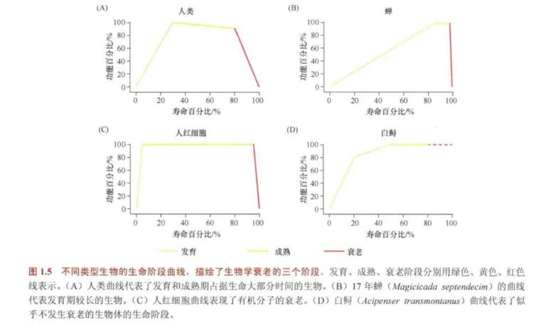 人是在一瞬间变老的! 变老的明显迹象，从这里开始
