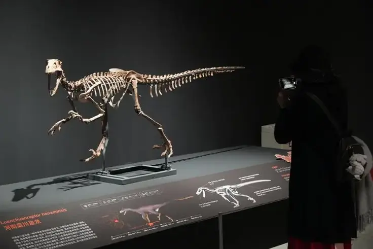 1.5������ʯ��2���������10����ͷ�ǣ��й�������������