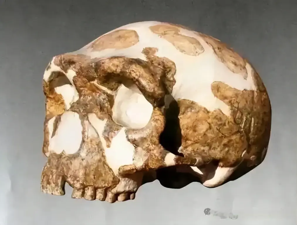 1.5������ʯ��2���������10����ͷ�ǣ��й�������������