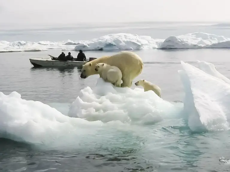 突发特讯！感觉时间越来越快不是错觉！科学家已证实，引全民高度关注