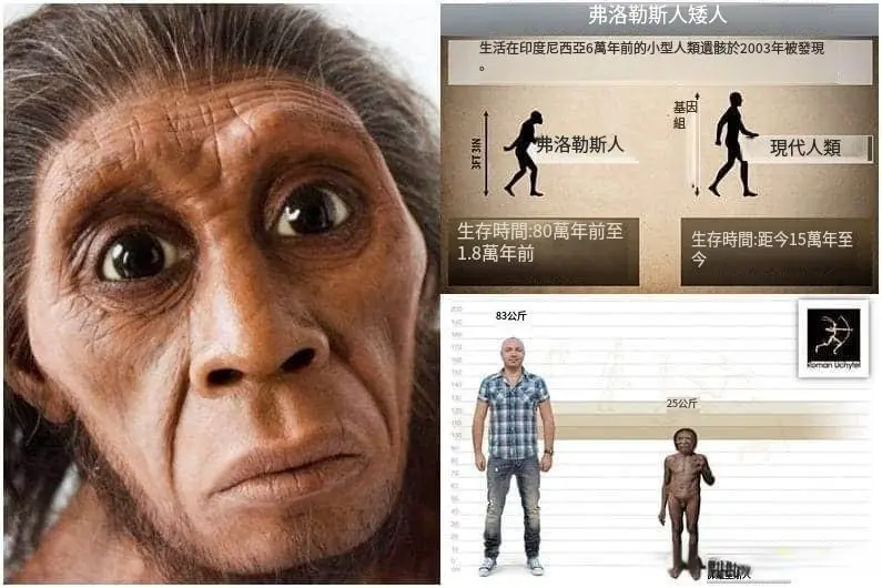人类“家谱树”：智人并不孤单，地球上曾经存在过11种神秘古人类