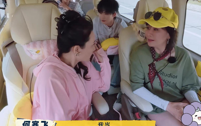 何赛飞一个人赚钱养家27年，与刘嘉玲分享经验：家务属于看不下的那个人