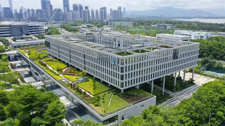 深圳实验室凭什么挖走美国大牛? 丹扬揭秘：这里的人眼睛会发光