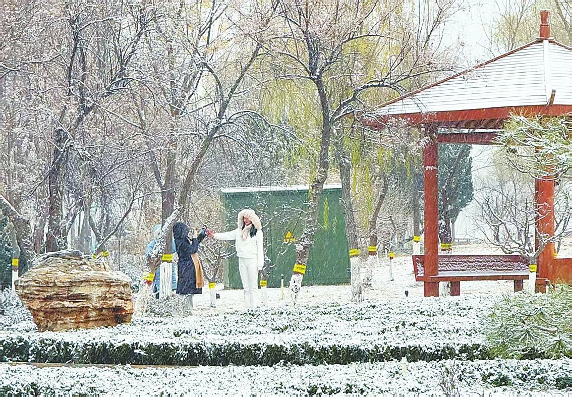 候鸟戏雪游人欢