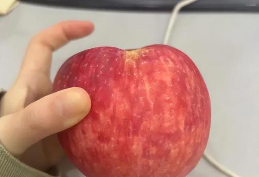 �����Ͻ�ƻ�������϶�ƻ������ʲôʱ���ƻ���ã������˶��Դ���