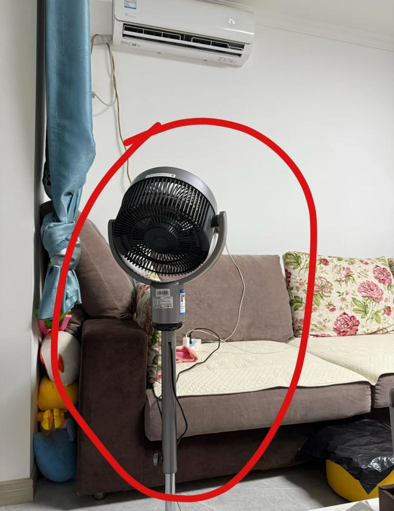 “被严重低估”的5款家电：买前瞧不上，用后都直呼：后悔买晚了