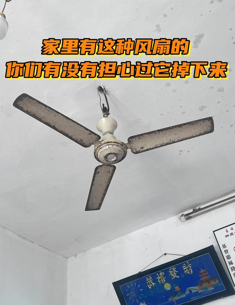 “被严重低估”的5款家电：买前瞧不上，用后都直呼：后悔买晚了