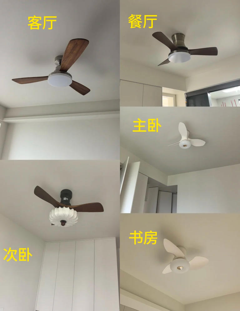 “被严重低估”的5款家电：买前瞧不上，用后都直呼：后悔买晚了