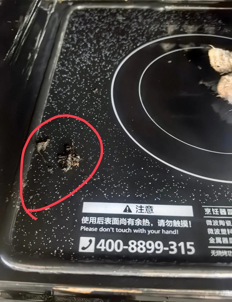 “被严重低估”的5款家电：买前瞧不上，用后都直呼：后悔买晚了