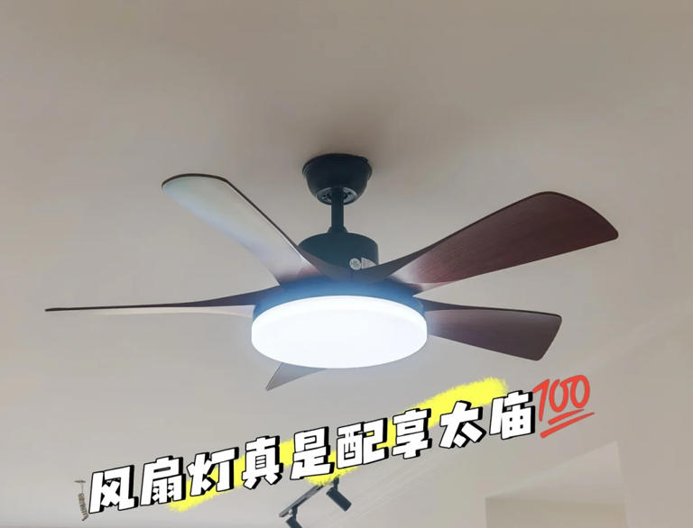 “被严重低估”的5款家电：买前瞧不上，用后都直呼：后悔买晚了