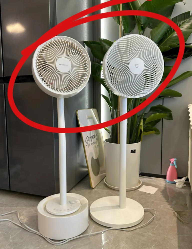 “被严重低估”的5款家电：买前瞧不上，用后都直呼：后悔买晚了