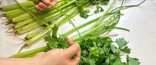 吃芹菜为什么不吃叶子？可能很多人还不清楚，看完记得转告家人