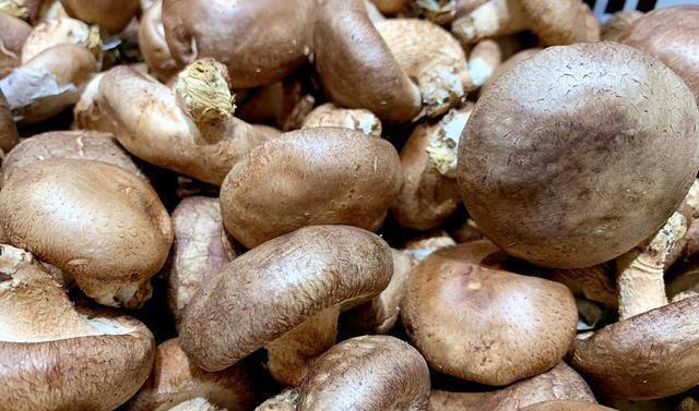 冬天使劲吃，钾是香蕉的17倍，中老年常吃腿脚有劲，对肝脏也很好