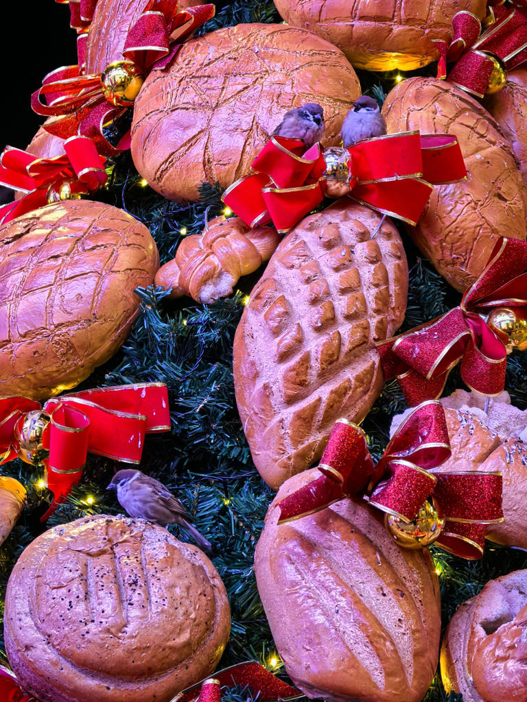 微信图片_20251215111714_12_1070