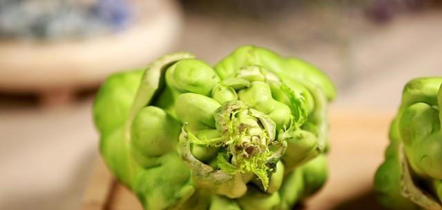 心脏不好 活不久 建议中老年 常吃这2样护心菜 健康长寿