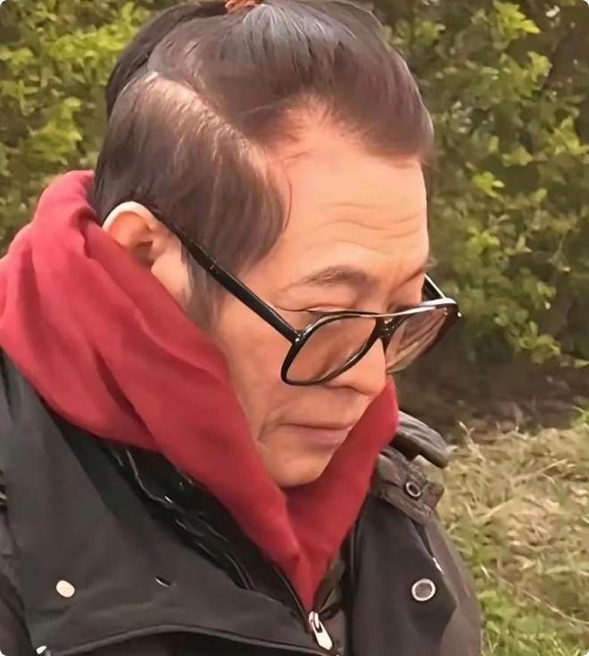 大女儿结婚仅送30万车，却将全部身家上交利智，李连杰偏心太明显？