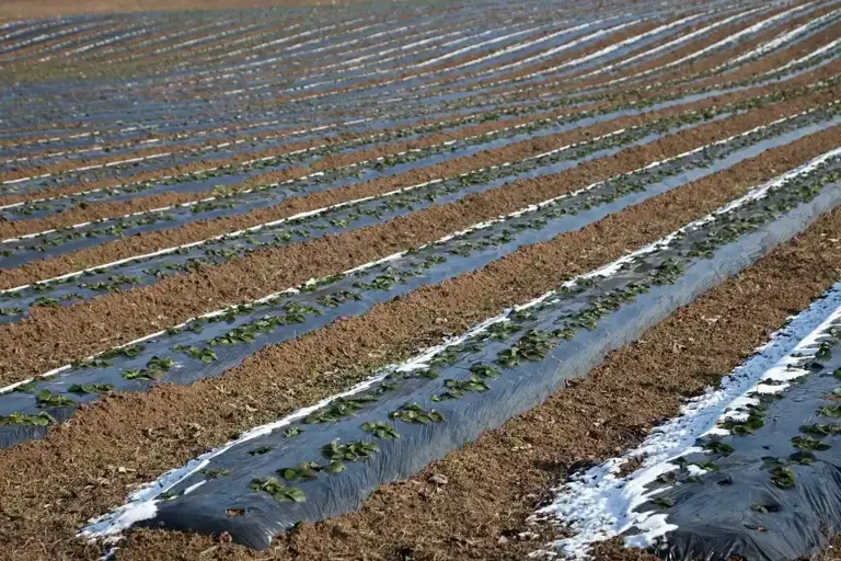 央视曝光，我国已进入拉尼娜状态，今年冬天2008年雪灾会重演吗？