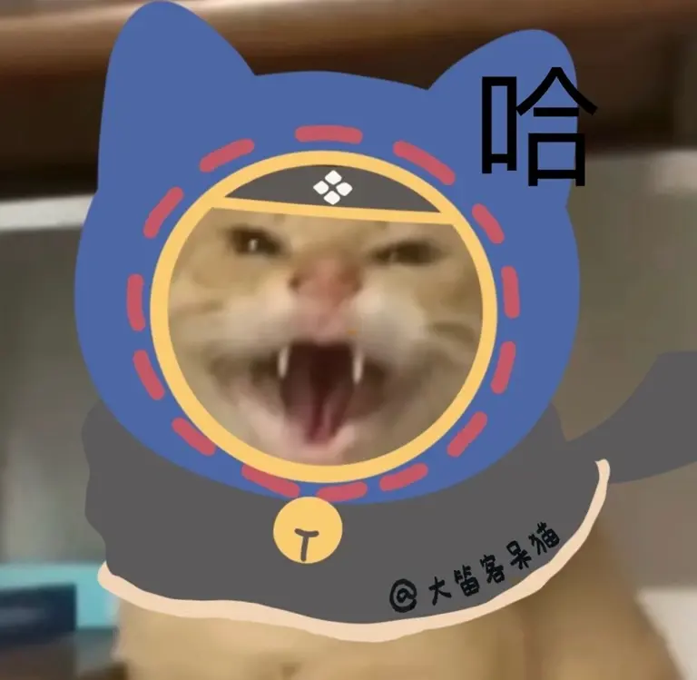大笛客的呆猫表情包第一弹合集整理