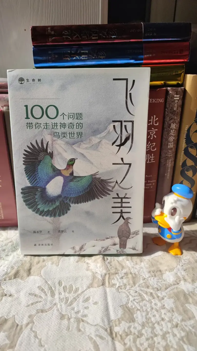 《飞羽之美》：100个问题，把鸟类的秘密说透