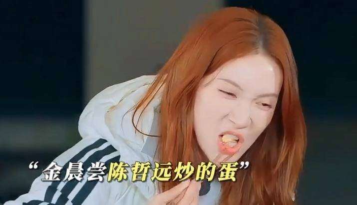 沈腾带不动陈哲远，撕开综艺嘉宾必须搞笑畸形规则