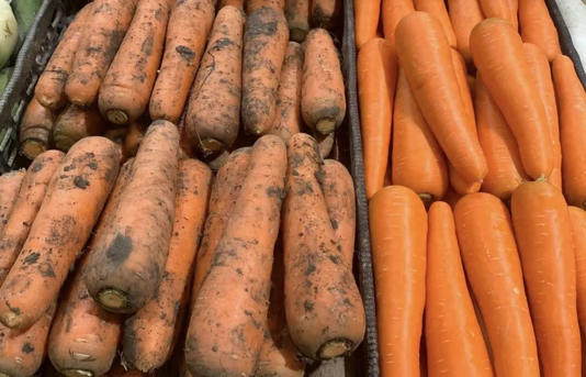 ��֪�������ܲ�����Ͳ�������󣬱�ԩ��Ǯ