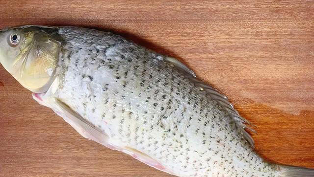 不管炖什么鱼，只放葱姜蒜就错了，教你一招，鱼肉不腥，鲜嫩入味