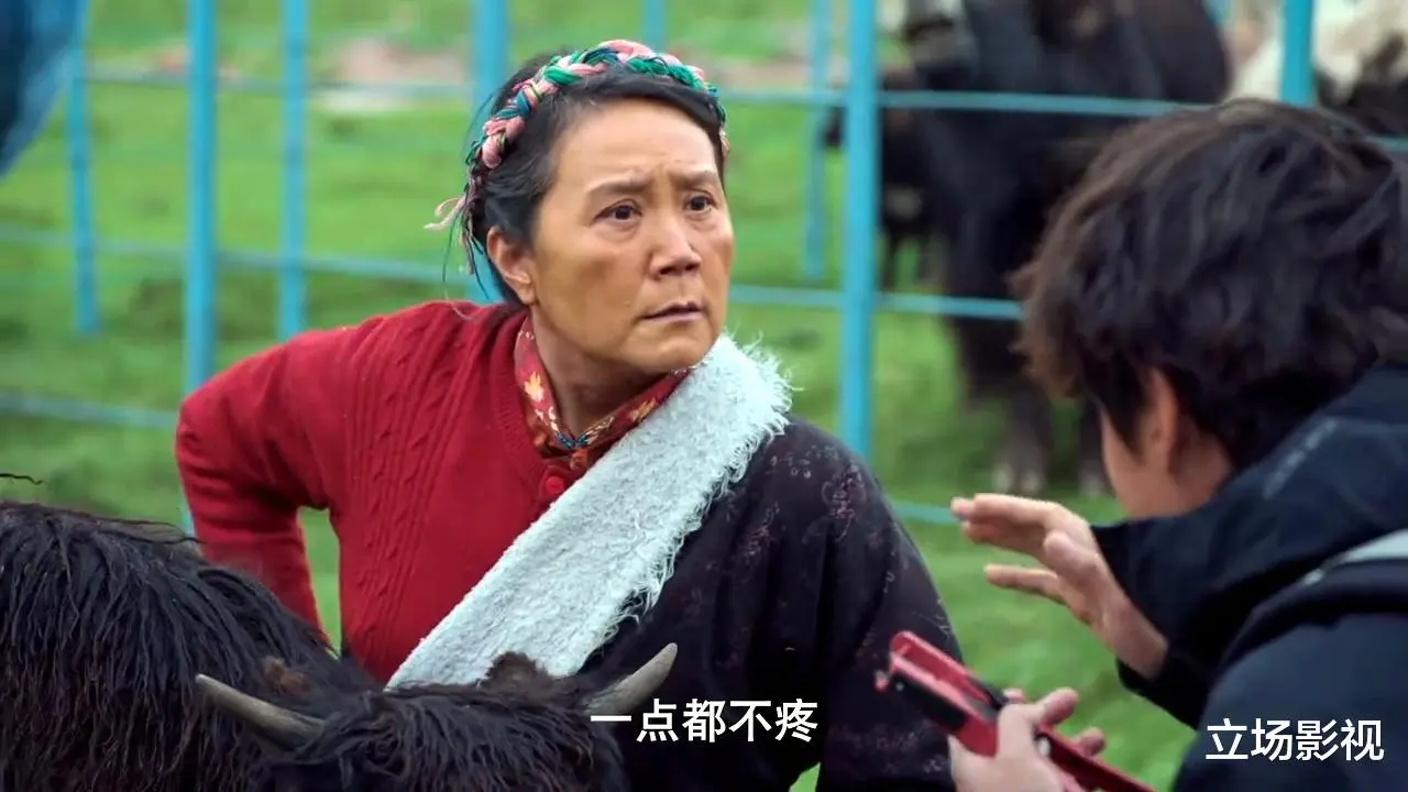 央视又有新剧开播! 配角阵容超豪华，这剧收视必火遍全国