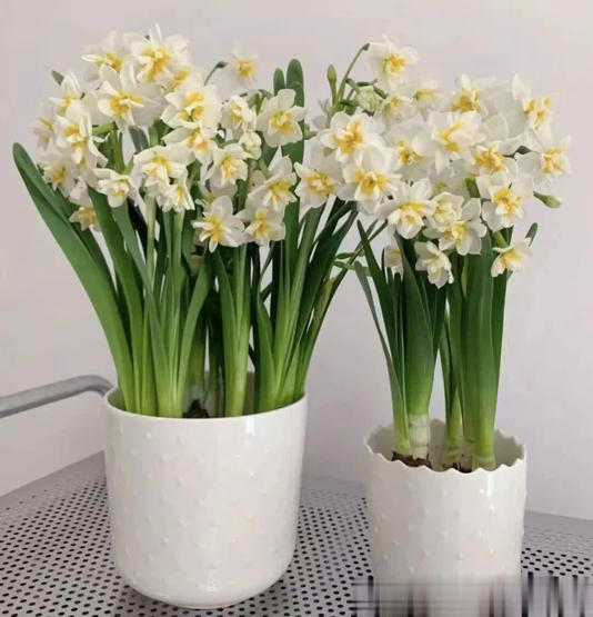 4�֡�ù�˻����׸�����Ҫ���ܶ�������ȴ��Ȼ��֪��