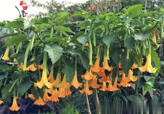 4�֡�ù�˻����׸�����Ҫ���ܶ�������ȴ��Ȼ��֪��