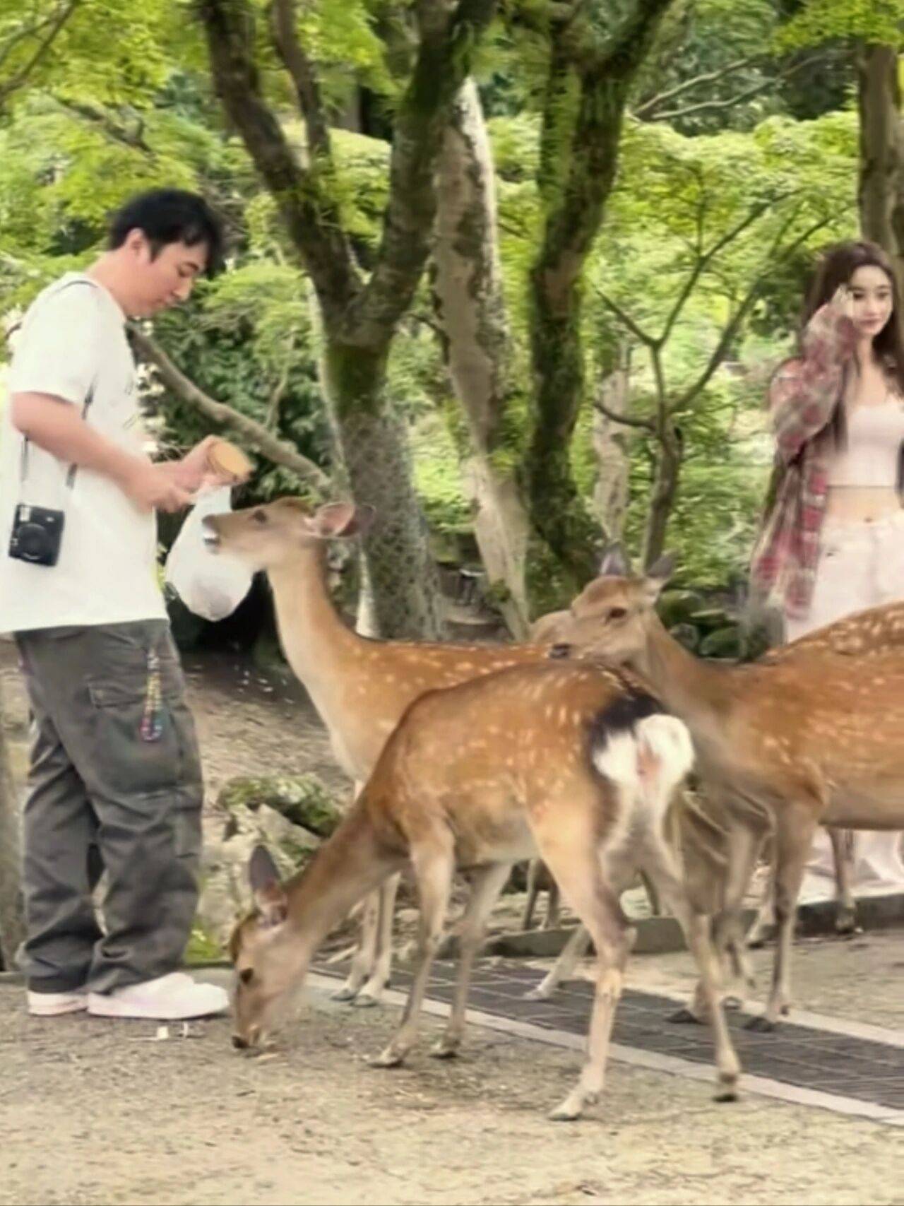 �����ʲ������ģ��ձ�ס��լ����˼�Ͽ��������ı���������Ѳ��ֹɷ������˺����