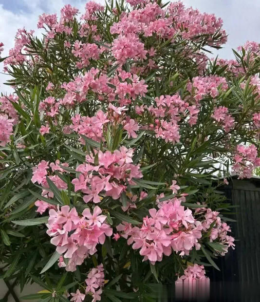 4�֡�ù�˻����׸�����Ҫ���ܶ�������ȴ��Ȼ��֪�� 