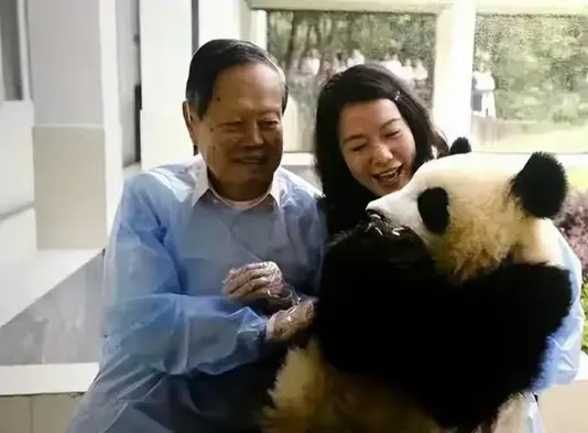 当初都猜她图钱,杨振宁却送了她一份会“生钱”的特别资产