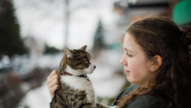 经常打猫，猫会有这些表现，别再伤害它了!