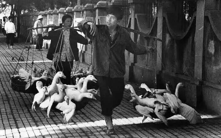 痛悼! 晓庄去世，享年94岁