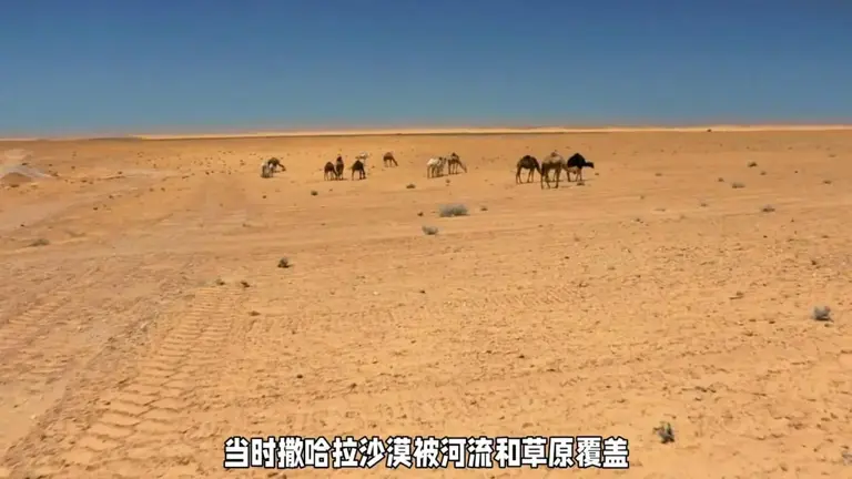 人类进化史被推翻?7000年前木乃伊DNA与古人类匹配度仅0.15%，我们真是唯一智慧生命?