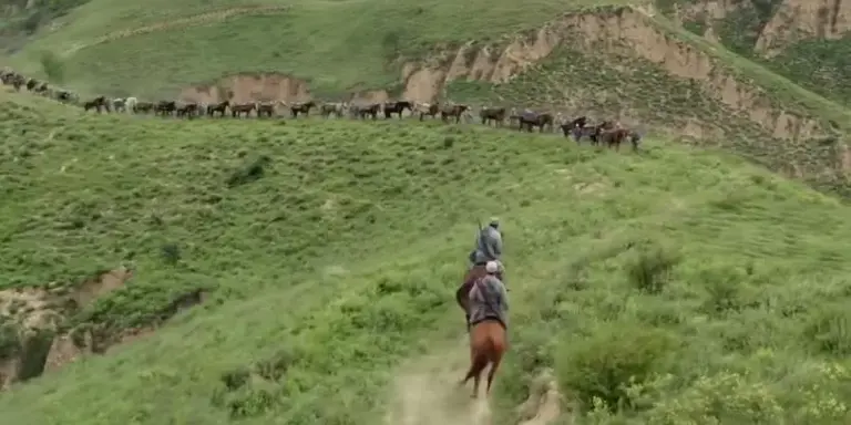 今晚开播！唐诡团队再造爆款？3 千里 “娃娃长征”，配角阵容不错！