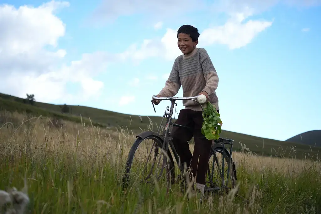 大鹏再次失手，新片上映3天票房14万，投资血本无归