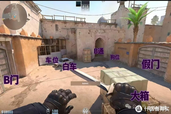 从萌新到高手：CS成长之路