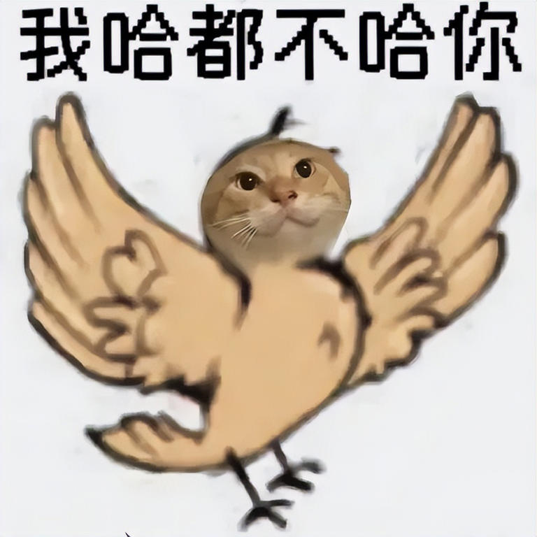 糊得包浆的“我鸟都不鸟你”表情包怎么成了不少网友的赛博嘴替?