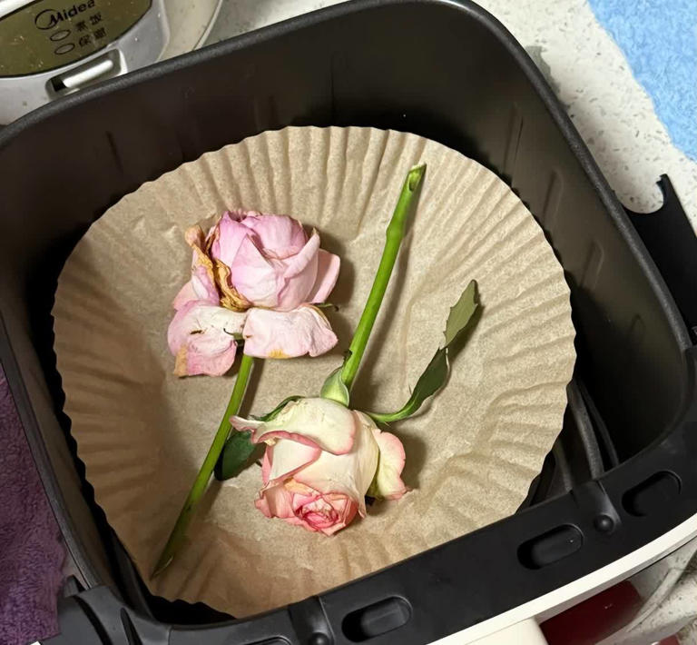 为什么这5样“电器”突然没人买了？缺点太多了，白送都没人要！